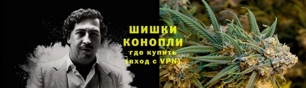 ешки Гусев