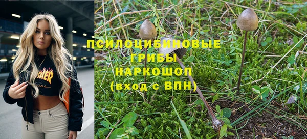 ешки Гусев