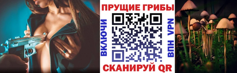 Галлюциногенные грибы мицелий Дубовка